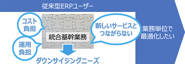 統合基幹業務のダウンサイジングニーズ