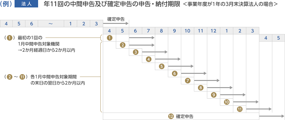 例「法人」年11回の中間申告及び確定申告の申告・納付期限（事業年度が1年の3月末決算法人の場合）