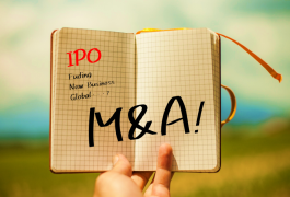 上場準備段階におけるM&A～メリット・デメリットと事例から見る留意点～