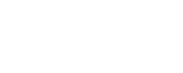 OBIC BUSINESS CONSULTANTS