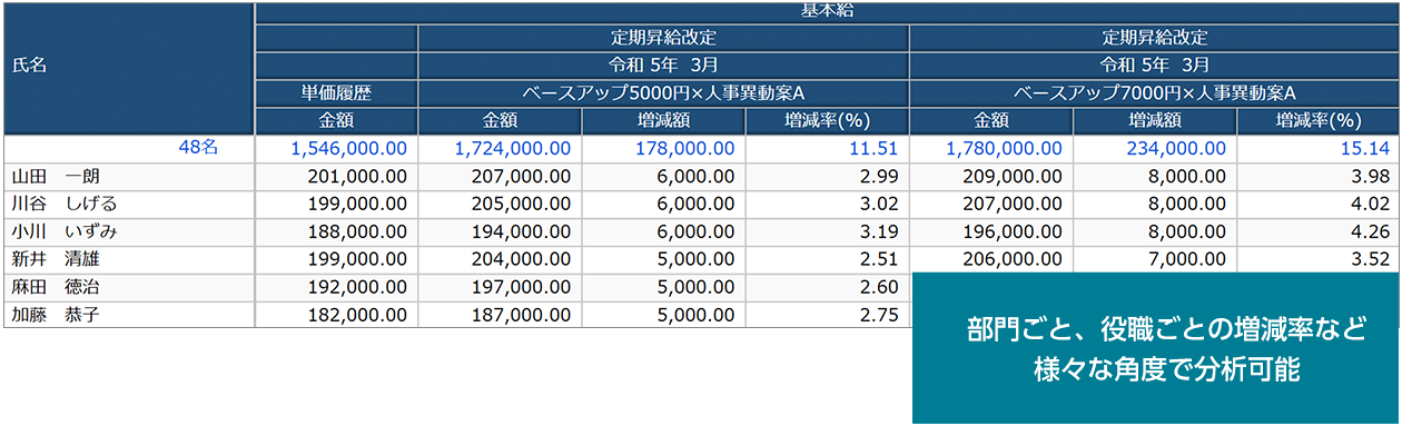 賃金改定オプション