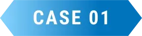 Case 01
