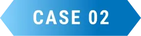 Case 02