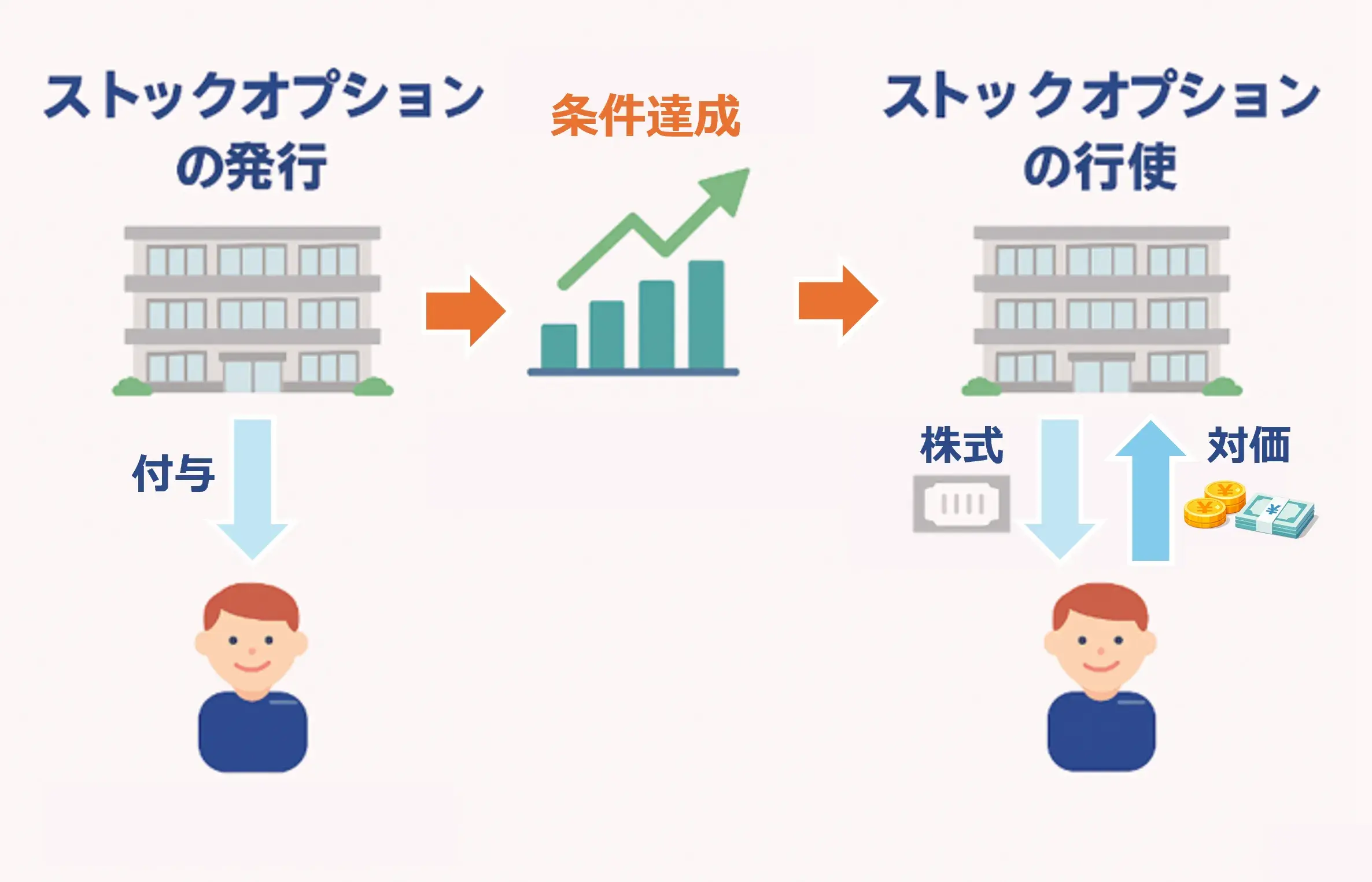 ストックオプションの発行・付与、権利行使の仕組み