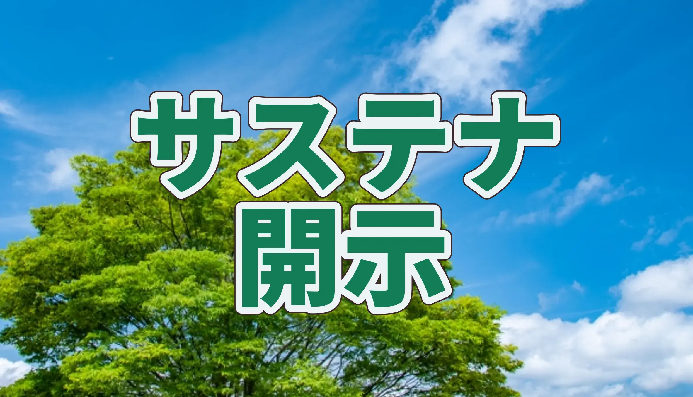 サステナビリティ開示とは何か ―有価証券報告書への対応と実務ポイント―