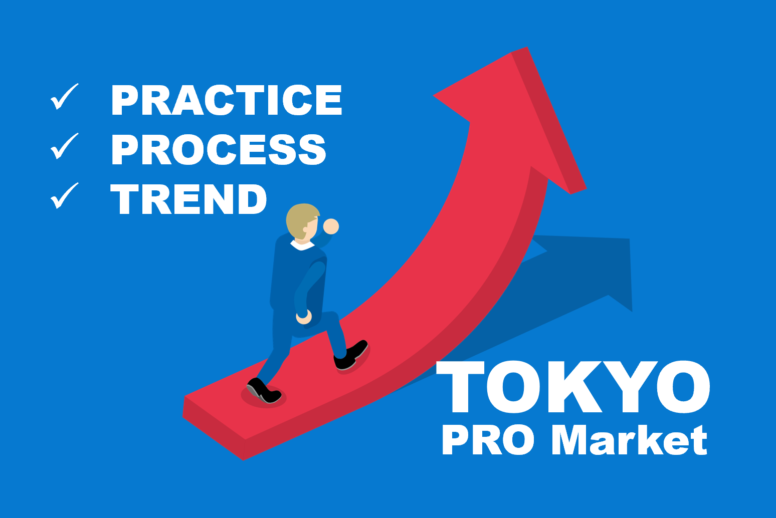 TOKYO PRO Market（東京プロマーケット）の上場プロセスと実務、押さえるべきトレンドとは
