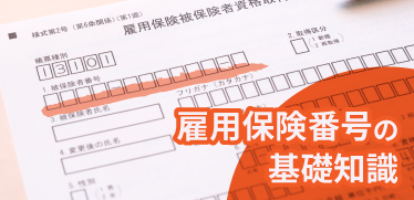 雇用保険番号の基礎知識｜被保険者番号の確認方法や効率的な管理方法を解説